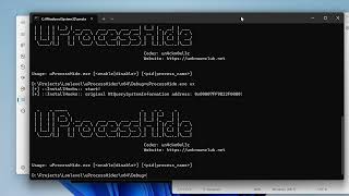 [Native API Hooking] - Hiding Usermode process