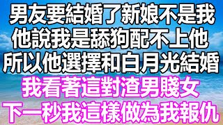 男友要結婚了新娘不是我，他說我是舔狗配不上他，所以他選擇和白月光結婚，我看著這對渣男賤女，下一秒我這樣做為我報仇 #溫情人生 #情感故事#情感#愛情#婚姻#幸福人生#遊戲#故事#pokemon #原神