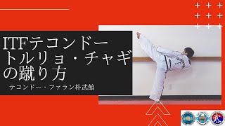 ITFテコンドー　トルリョ・チャギ　TAEKWON-DO Turning Kick　태권도　 돌려차기