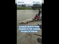 Warga Nyaris Diterkam, Ganggu Buaya yang Tenang di Tepi Sungai #shorts #wargaganggubuaya