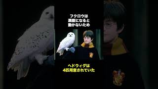 ハリーポッターに出演した動物たちの小ネタ #shorts