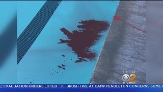 Vandals Throw Paint, Electronic Equipment Into High School Pool In Anaheim