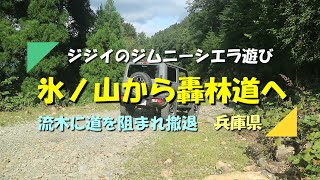 【ジムニー】シエラで林道氷ノ山線から轟安井線を走るつもりが流木に阻まれ撤退（兵庫県）