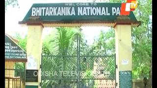 Bhitarkanika to be out of bounds for tourists