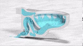 “Princeton” Flush Simulation ( 1 )
