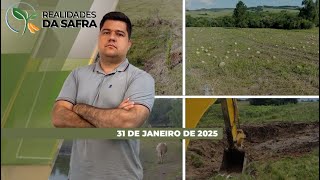 Estiagem traz grandes prejuízos em Encruzilhada do Sul/RS, mas Santa Catarina espera maiores safr...