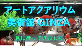 【金魚】アートアクアリウム美術館GINZA 行ってきました【警報】