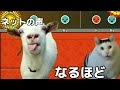 【太鼓の達人】猫ミームで学ぶ最強過ぎる2024七段