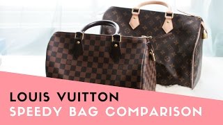 LV Speedy Bag Comparison: Mono 35 vs DE 30