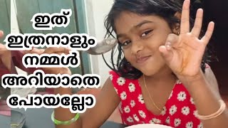 ഇത് ഇത്രനാളും നമ്മൾ അറിയാതെ പോയല്ലോ#malappuramfamilyvlog #malappuramthathavlog #snackspecial