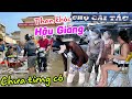 Ngập lụt CHƯA TỪNG THẤY Hậu Giang chợ Cái Tắc - Người dân kêu khổ