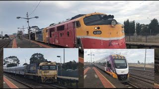 A66 and S306 hauling the grainlander and NR106 the Overland at north shore station