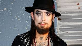 Have You Heard What Really Happened to Dave Navarro?