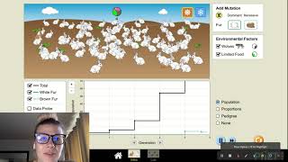 PhET Simulation Explanation Video