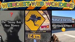 weirdest web wonders vol 110