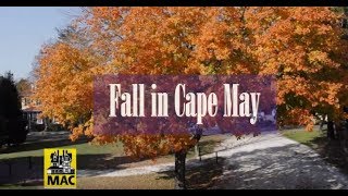 Visit Cape May, N.J. in Fall!