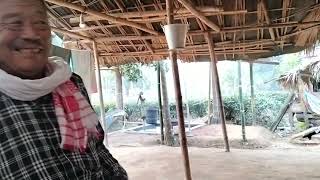 Assamese Nepali Words \u0026 Tea Cultivation: A Story from Phillobari, Assam