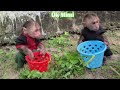 mimi kuku helps mom clean up the flower garden