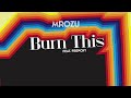 mrozu feat. frenchy burn this