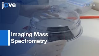 MALDI Imaging Mass Spectrometry: Neuropeptides In Parkinson's Disease l Protocol Preview