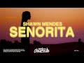 Shawn Mendes, Camila Cabello – Señorita (Lyrics)
