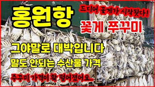 홍원항 말도 안되는 수산물가격 다양한 수산물 종류 그야말로 대박입니다 #꽃게 #쭈꾸미 #택배가능