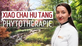 Xiao Chai Hu Tang : phytothérapie pour guérir les maladies