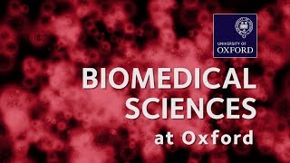 Biomedical Sciences at Oxford University