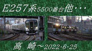 E257系5500番台・団臨・他・・・高崎～2022年6月25日