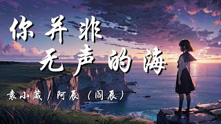 你并非无声的海 - 袁小葳 / 阿辰（阎辰）【你并非无声的海 只是不为我澎湃 我却是无脚的鸟 着落不到你心怀】【动态歌词 Lyrics】【拼音歌词】【抖音歌曲】