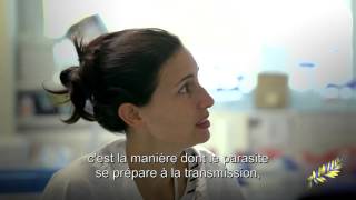 Sanofi - Prix Sanofi-Institut Pasteur 2015 : rencontre avec Professeur Keith Matthews