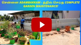 எங்க அக்காவீட்டு மாடித்தோட்ட Maintenance at AGS Colony. சூப்பர் வேலைங்க..💐💐