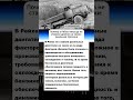 Почему в Рейхе никогда не ставили дизеля на танки армия история вов интересныефакты