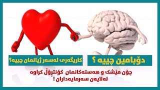 What is Dopamine دۆبامین چیە ؟ کاریگەری لەسەر ژیانمان چییە ؟