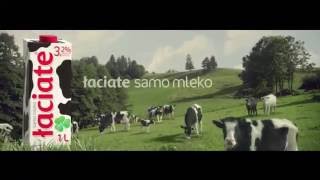 Mleko Łaciate - białe po mamie, zdrowe po byku