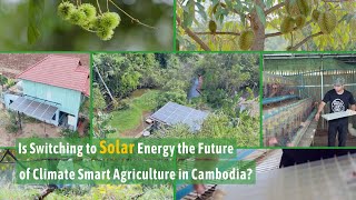 Switch to Solar: Transforming Cambodia's Agriculture and Fishery with Climate-Smart Solutions