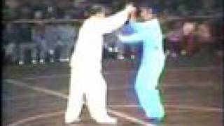 Master Sha Guozheng: Tai Chi 2 Person Set