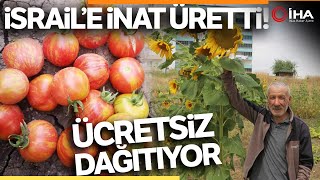 İsrail’e İnat Ürettiği Ata Tohumlarını Ücretsiz Dağıtıyor