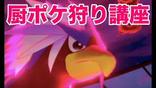 【ポケモン剣盾】厨ポケ狩り講座 part6 厨ポケを狩る青鷹ウォーグル【ソード・シールド】