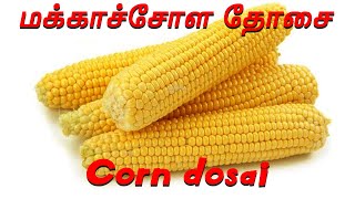 மக்காச்சோள தோசை | Corn Dosai | How to prepare Maize Dosai? | மக்காச்சோள தோசை செய்வது எப்படி?