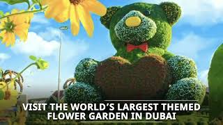 Dubai Miracle Garden | The World’s Largest Natural Flower Garden