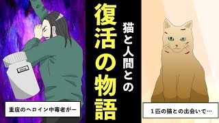 【感動する実話】映画化にもされた！？猫が救った薬物中毒者の物語