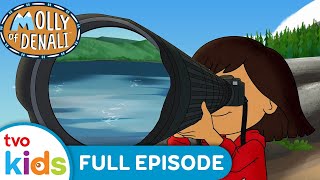 MOLLY OF DENALI 🌟 A Whale of A Time / That's Snow Fun 🐳❄️ Season 3 Full Episodes | TVOkids