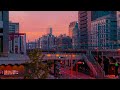 city sunset vibes 🌇 japanese lofi mix for relaxation and focus