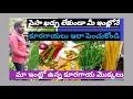 మా ఇంట్లో కూరగాయ ముక్కలు20 types of vegetables in my garden without any amount