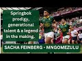 Sacha Feinberg-Mngomezulu:  Prodigy, Generational talent, Legend in the making #rugby #springboks