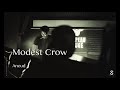 Modest Crow - Ancud