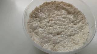 How to make bread with poolish, part 1 - recipe, kneading, pre-shaping