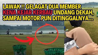 LAWAK !! GELAGAT DUA MEMBER KENA KEJAR KERBAU UNDANG DEKAH, SAMPAI MOTOR PUN DITINGGALNYA...