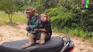 Adorable Koko And Yoko Ride The Motor Bike Wait Mom To Outside [ Koko And Yoko's Family]